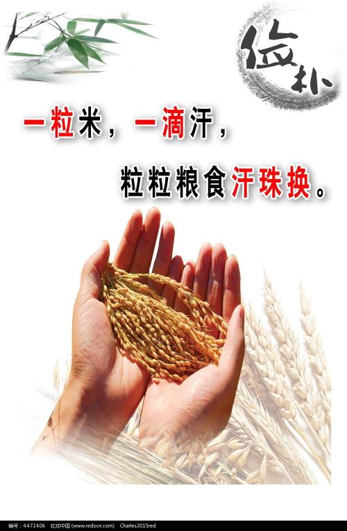爱达荷州驾驶证办理